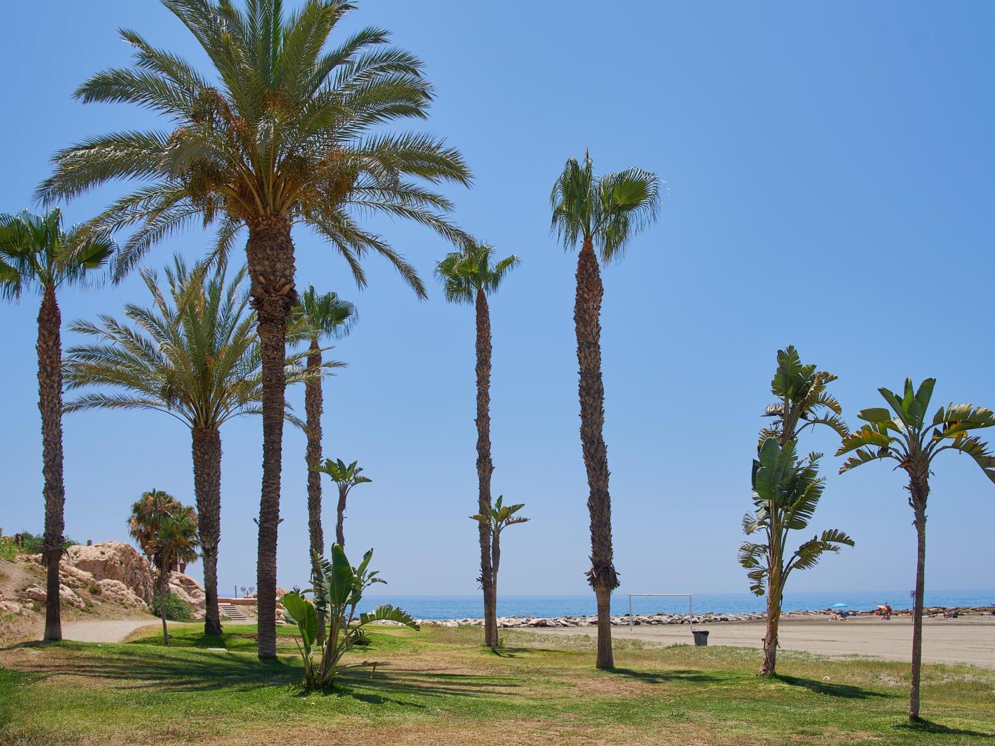 Lovely Studio With Seaview 700M From The Beach La Cala Del Moral エクステリア 写真